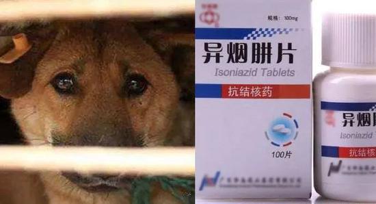 ⭐出售稳定的
Facebook全新注册号
如何买到防封效果好的